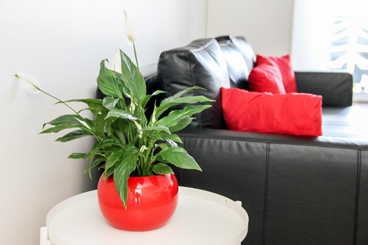 르틸레이 Grand T1 Moderne Jardin Pres De Cdg 아파트 외부 사진